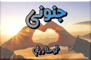 Janooni Novel By Hannah Zayan