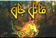 Qatil e Jaan Novel By Laiba Khan