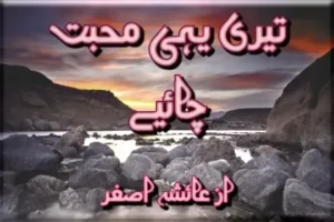 Teri Yahi Mohabbat Chaiye Novel By Ayesha Asgher