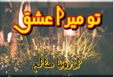 Tu Mera Ishq Novel By Zoonia Saleh
