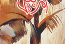 Amarbail Novel By Umera Ahmed Complete PDF